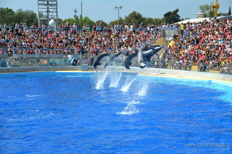 Marineland aout 2014 48.JPG - Marineland - Parc d'attractions aquatiques - Antibes - Août 2014
